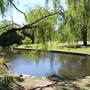 Centennial Park - Musgrave Pond