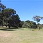 Centennial Park - Parade Grounds