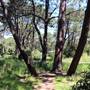 Centennial Park - Sandstone Ridge