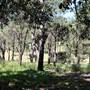 Centennial Park - Sandstone Ridge