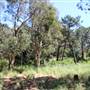 Centennial Park - Sandstone Ridge