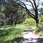 Centennial Park - Sandstone Ridge