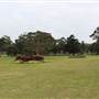 Centennial Park - Frog Hollow