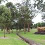 Centennial Park - Frog Hollow
