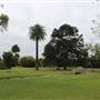 Centennial Park - Frog Hollow