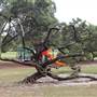 Learners Cycleway Playground - Centennial Park