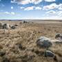 Monaro Plains