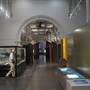 Australian Museum