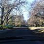 Mount Wilson Roads