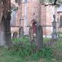 Newtown Cemetery