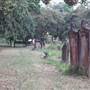 Newtown Cemetery