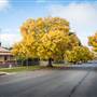 Crookwell
