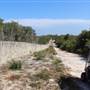 North Head Sanctuary - Old School Of Artillery