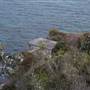 Middle Head Fortifications