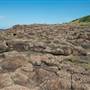 Bombo Headland Quarry