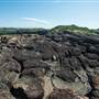 Bombo Headland Quarry