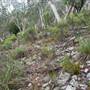 Goulburn Escarpment