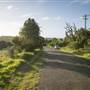 Southern Highlands