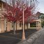 Southern Highlands