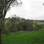Rainevale Park/Mymms Farm