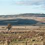 Monaro Plains