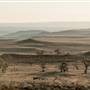 Monaro Plains
