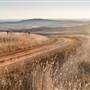 Monaro Plains