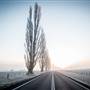 Monaro - Winter Frost