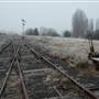 Monaro - Winter Frost