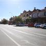 Temora