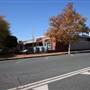Temora