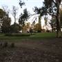 Wagga Wagga Town Centre