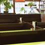 Gundagai's Niagara Cafe