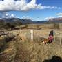 Snow Goose Farm - Glen Alice