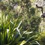 Lion Gate Lodge - Royal Botanic Garden Sydney