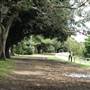 Centennial Park