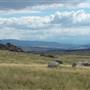 Monaro Plains
