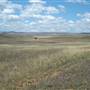 Monaro Plains