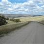 Monaro Plains