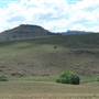 Monaro Plains
