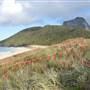 Lord Howe Island
