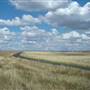 Monaro Plains