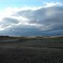 Monaro Plains