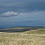 Monaro Plains