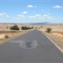 Monaro Plains