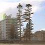 Manly Beach