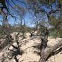 Kinchega National Park