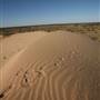 Kinchega National Park - Private Property