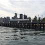 Wharves - Johnstons Bay