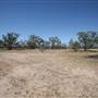 Bindara Station on the Darling - Period Homestead & Outbuildings